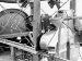 Sopwith factory photograph showing interior detail (138)